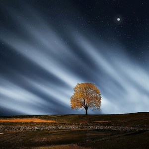 中国女人艳情快播
